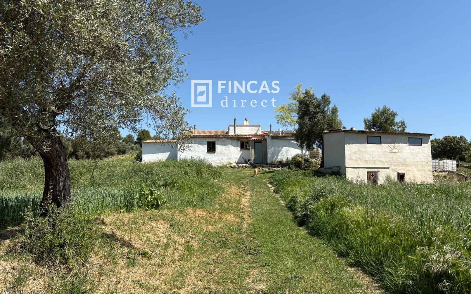 4 sypialnia Willa na sprzedaż w Cretas z basenem - 220 000 € (Ref: 9812455)