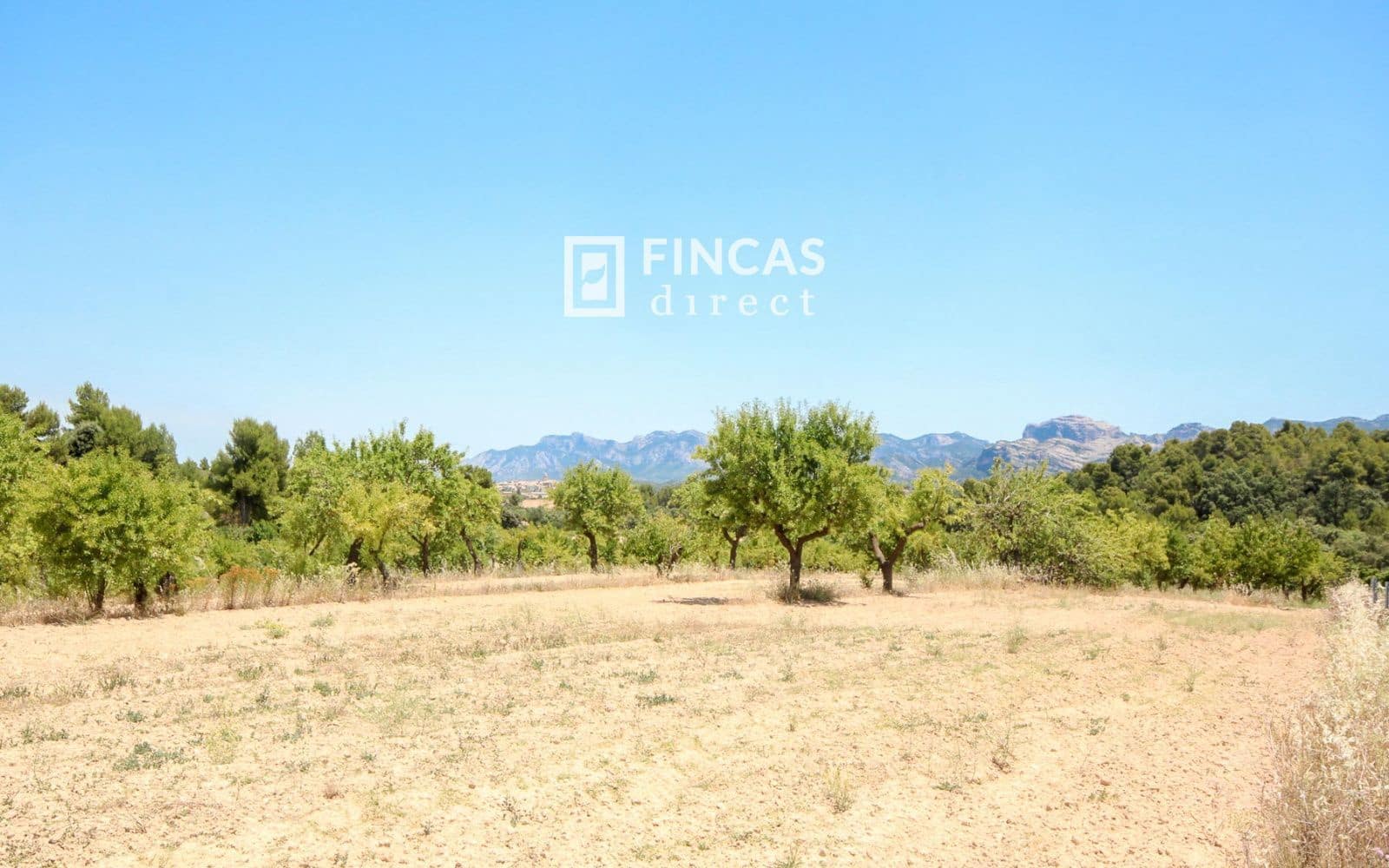 1 bedroom Finca/Country House for sale in Cretas - € 119,000 (Ref: 9917632)