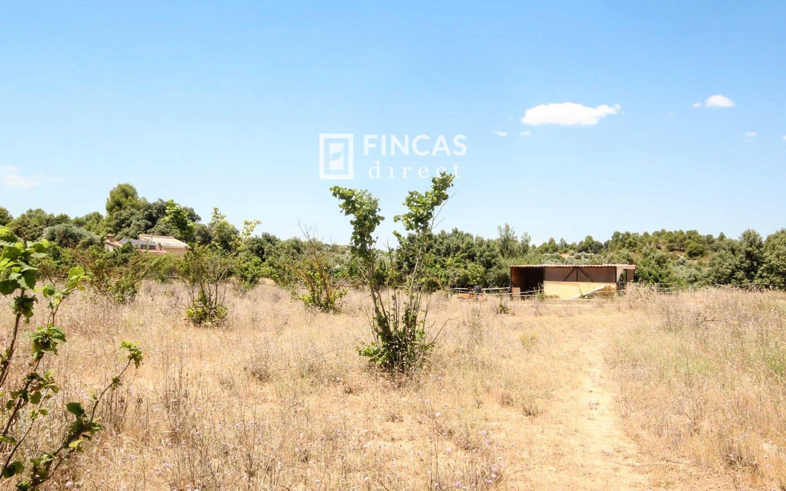 1 bedroom Finca/Country House for sale in Cretas - € 119,000 (Ref: 9917632)