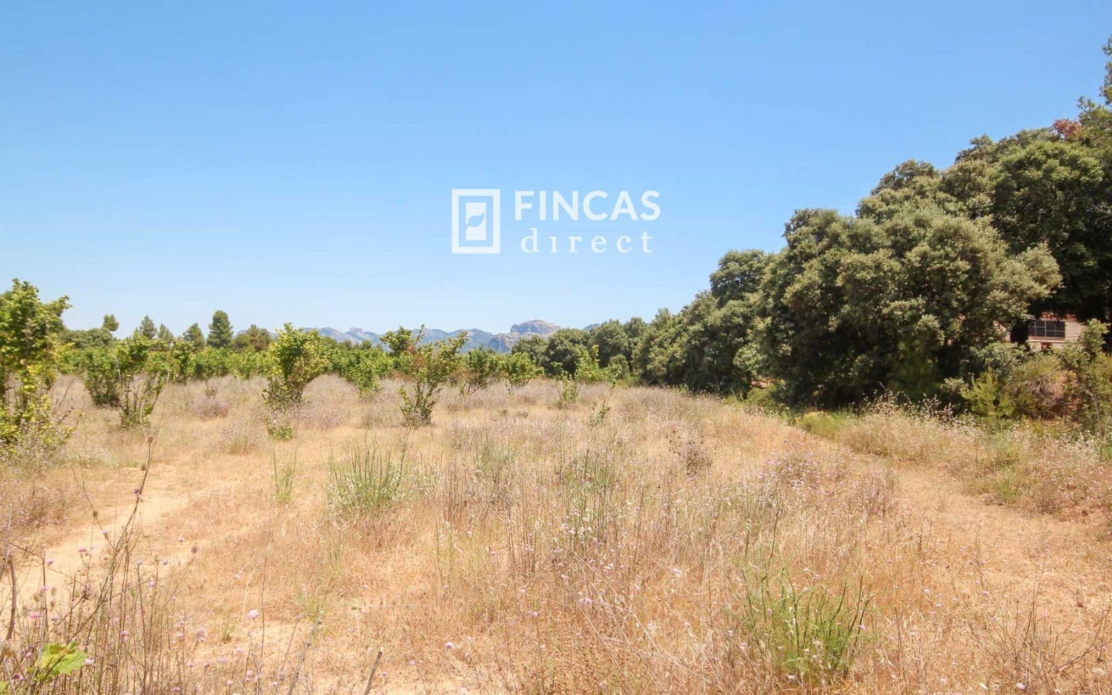 1 bedroom Finca/Country House for sale in Cretas - € 119,000 (Ref: 9917632)