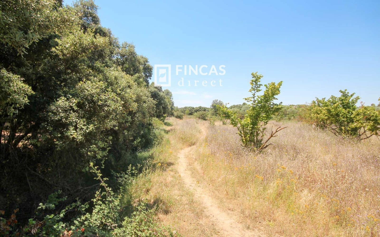 1 bedroom Finca/Country House for sale in Cretas - € 119,000 (Ref: 9917632)