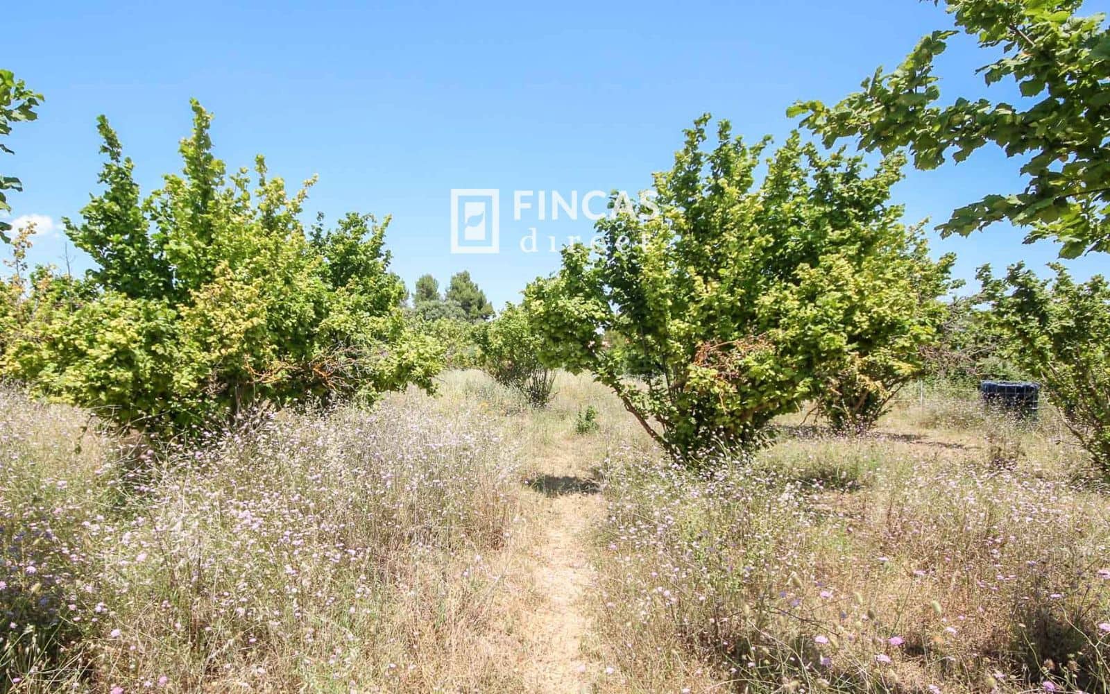 1 bedroom Finca/Country House for sale in Cretas - € 119,000 (Ref: 9917632)