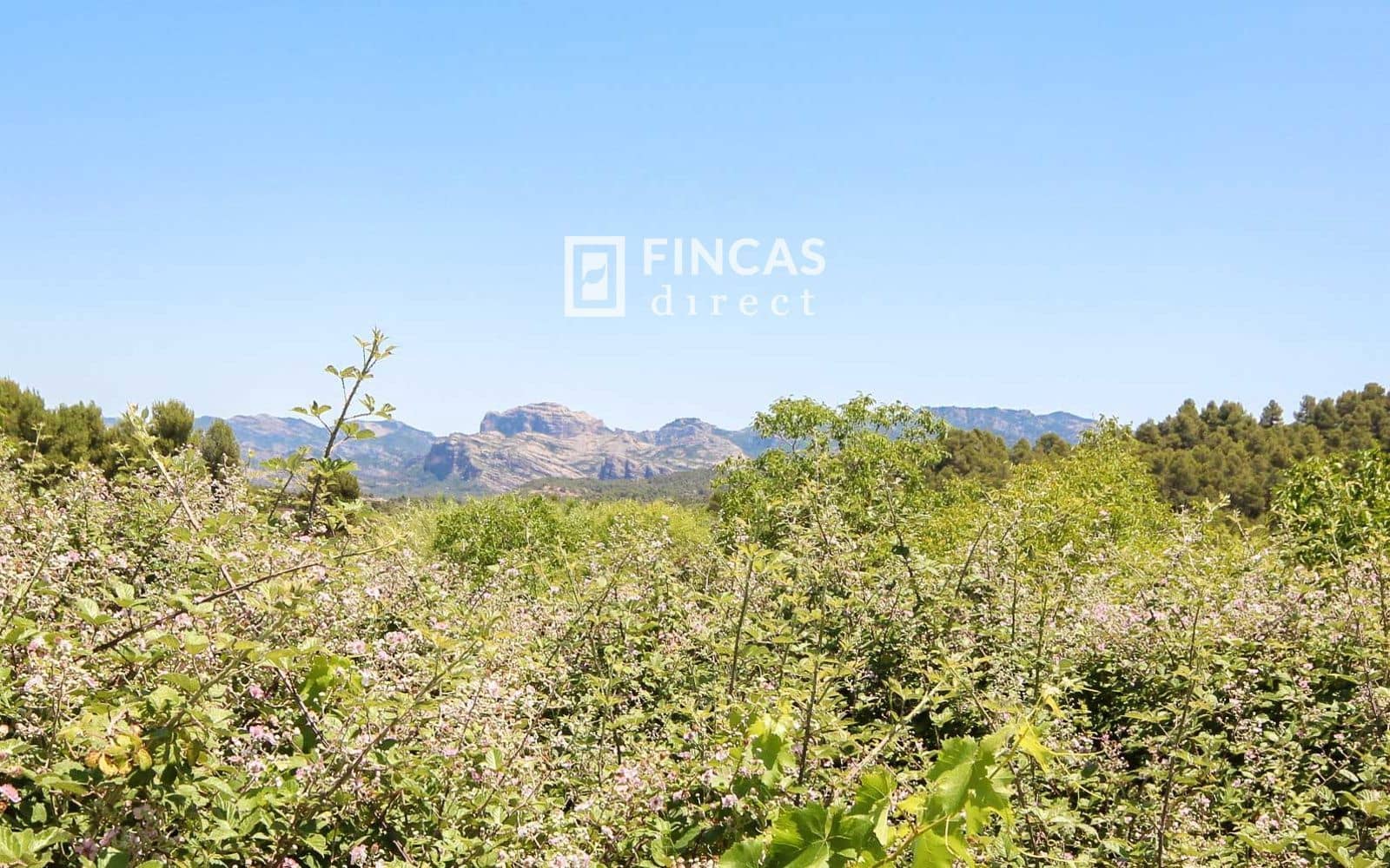 1 bedroom Finca/Country House for sale in Cretas - € 119,000 (Ref: 9917632)