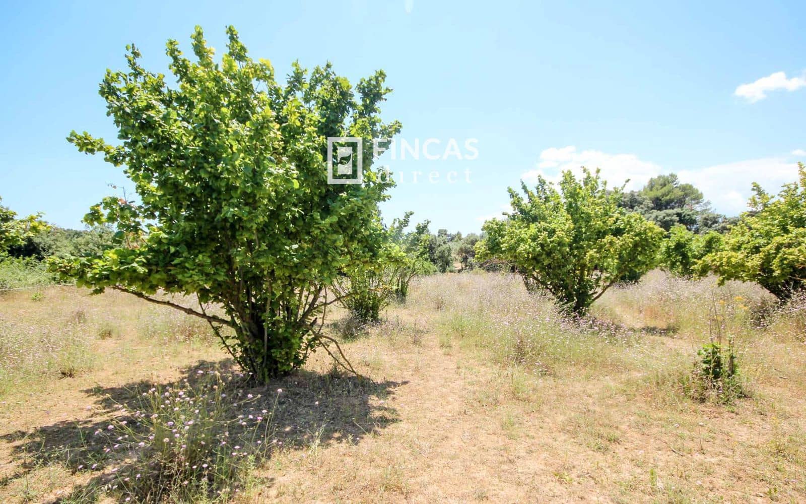 1 bedroom Finca/Country House for sale in Cretas - € 119,000 (Ref: 9917632)