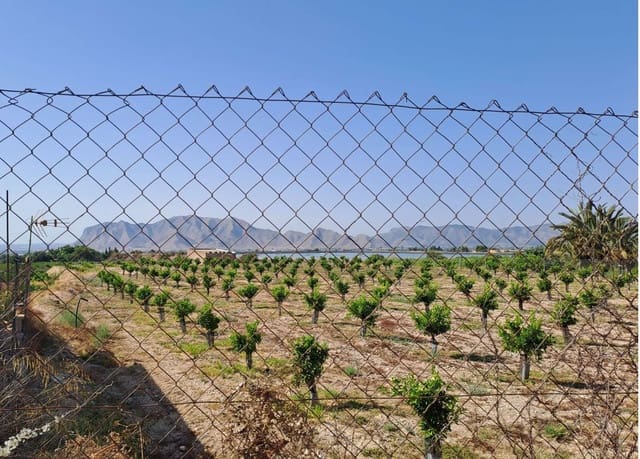 2 bedroom Mobile Home for sale in Albatera with pool garage - € 41,500 (Ref: 9312434)