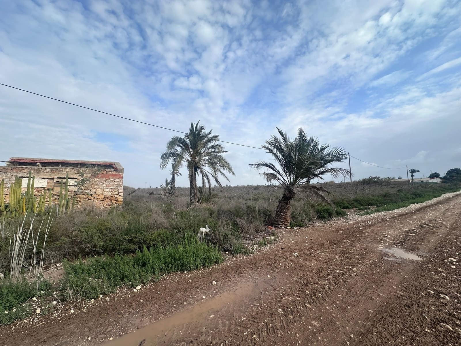 Ruin til salg i Alicante by - € 120.000 (Ref: 9438270)