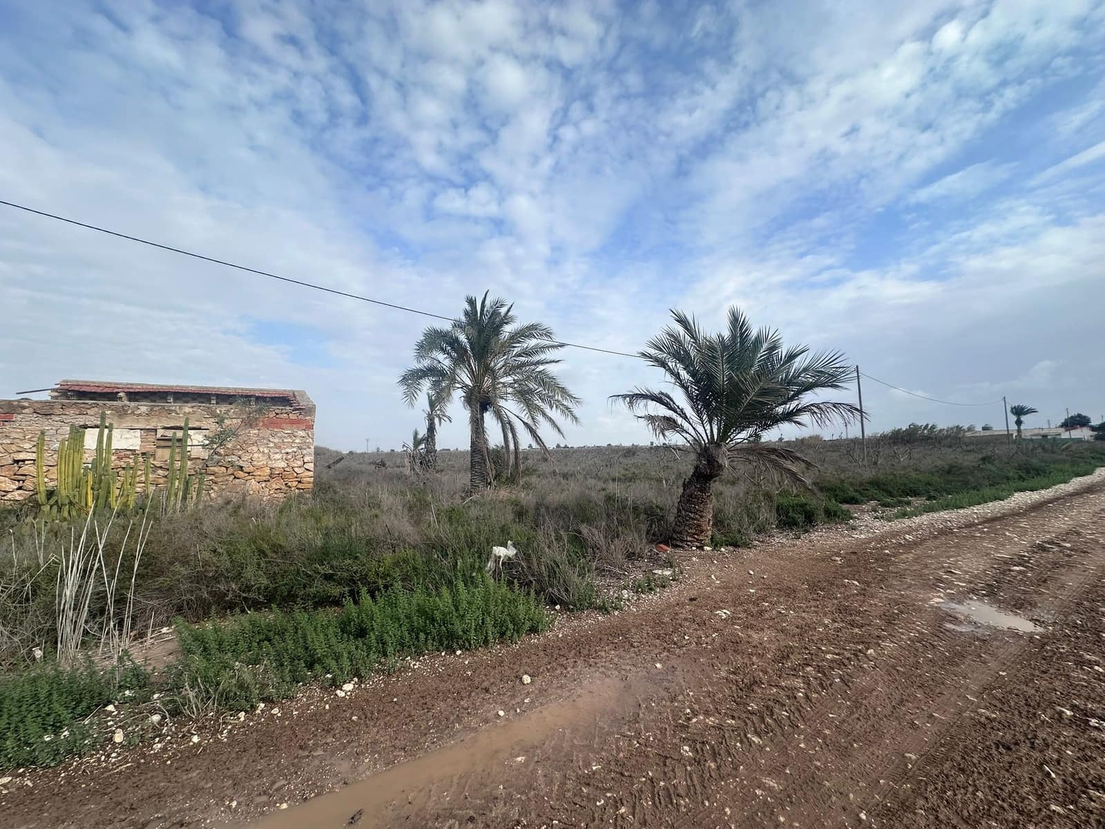 Ruin til salg i Alicante by - € 120.000 (Ref: 9438270)