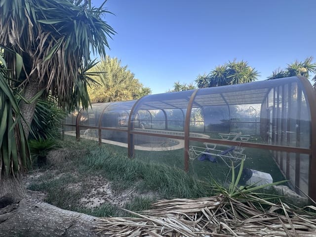 6 soverom Villa til salgs i Catral med svømmebasseng garasje - € 495 000 (Ref: 9438403)