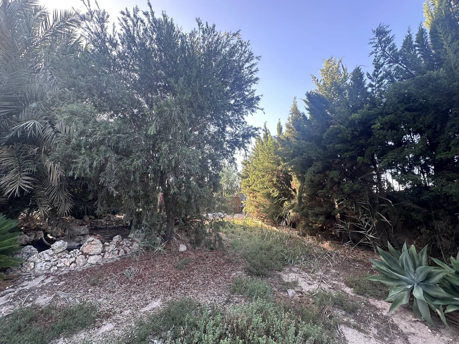 6 bedroom Villa for sale in Catral with pool garage - € 495,000 (Ref: 9438403)