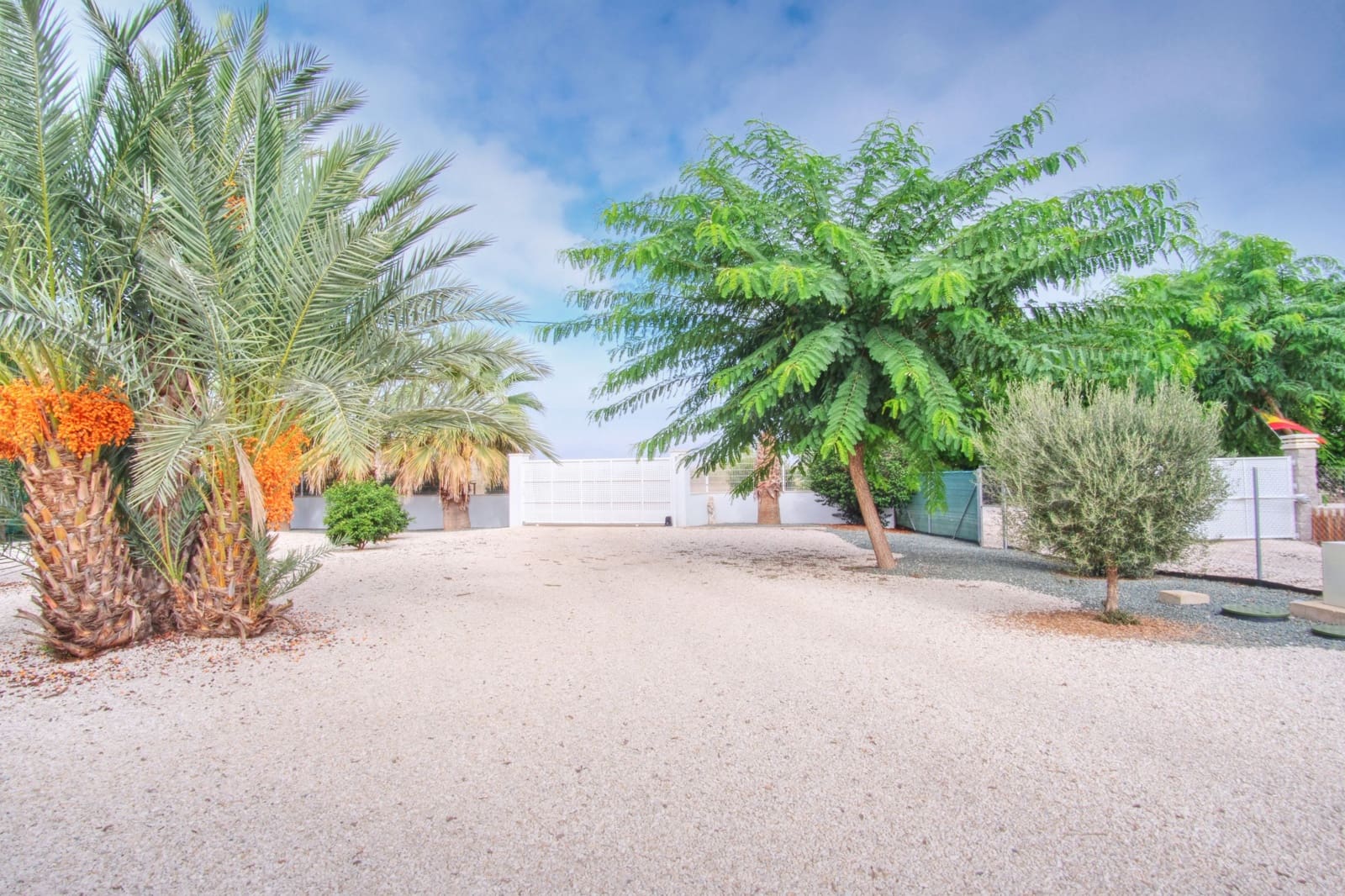 9 soverom Bedrift til salgs i Catral med svømmebasseng - € 895 000 (Ref: 9450838)