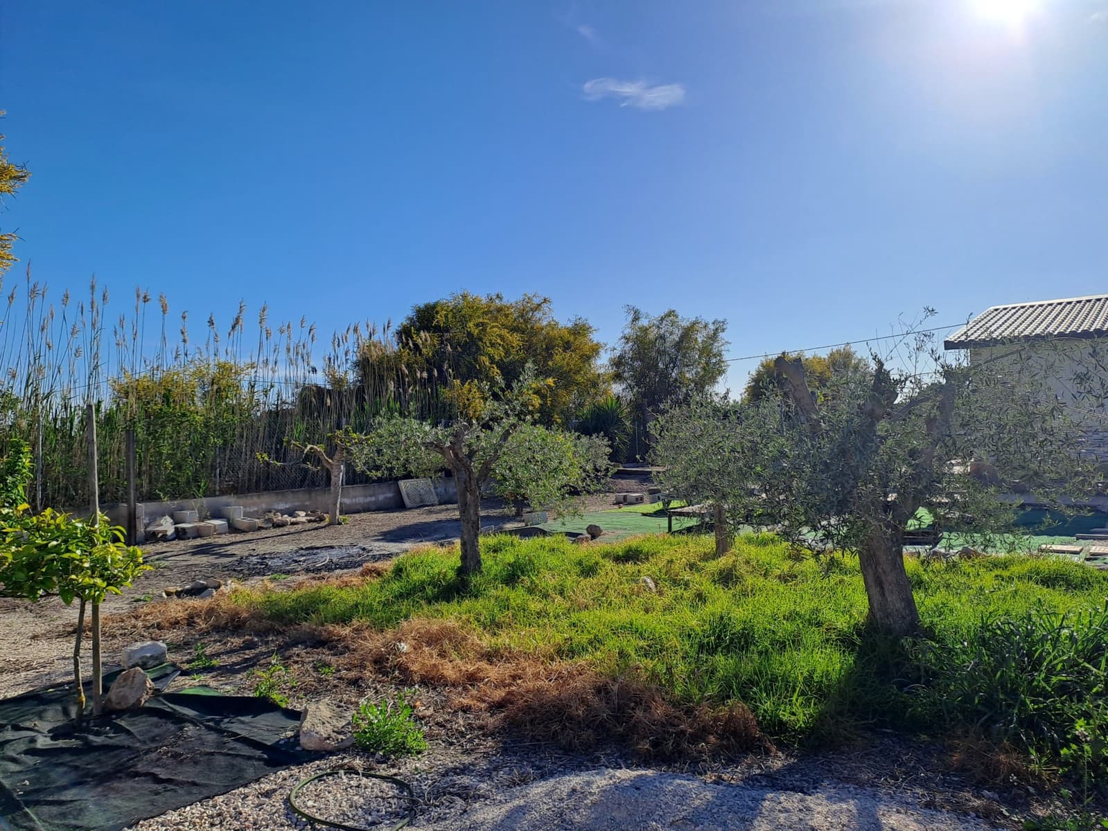 4 bedroom Finca/Country House for sale in Dolores with garage - € 189,500 (Ref: 9800274)