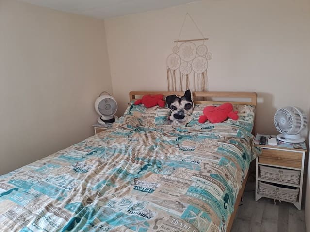 3 bedroom Mobile Home for sale in Crevillente / Crevillent with pool - € 42,000 (Ref: 9823496)