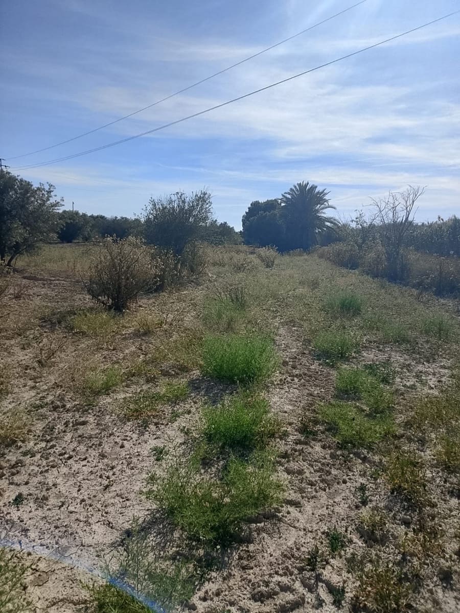 Ubebygd land til salgs i El Realengo - € 335 000 (Ref: 9940647)
