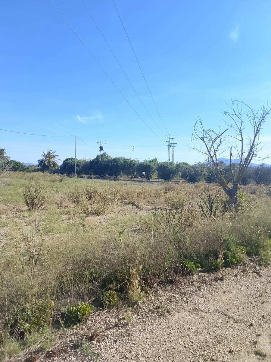 Ubebygd land til salgs i El Realengo - € 335 000 (Ref: 9940647)