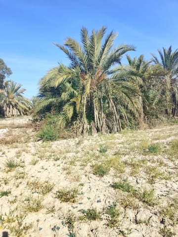 Grunde uden byggetilladelser til salg i El Realengo, Crevillente / Crevillent - € 335.000 (Ref: 9940647)