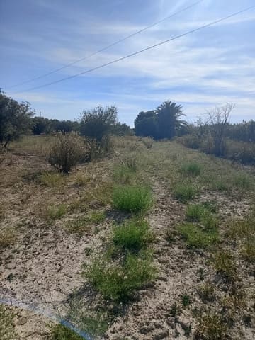 Grunde uden byggetilladelser til salg i El Realengo, Crevillente / Crevillent - € 335.000 (Ref: 9940647)