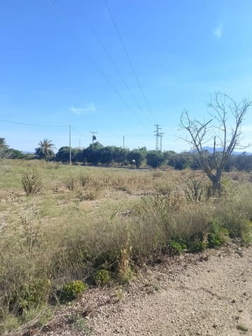 Grunde uden byggetilladelser til salg i El Realengo, Crevillente / Crevillent - € 335.000 (Ref: 9940647)