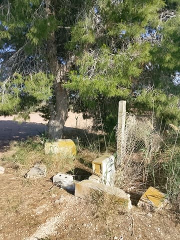 Grunde uden byggetilladelser til salg i El Realengo, Crevillente / Crevillent - € 335.000 (Ref: 9940647)