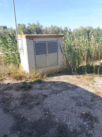 Grunde uden byggetilladelser til salg i El Realengo, Crevillente / Crevillent - € 335.000 (Ref: 9940647)