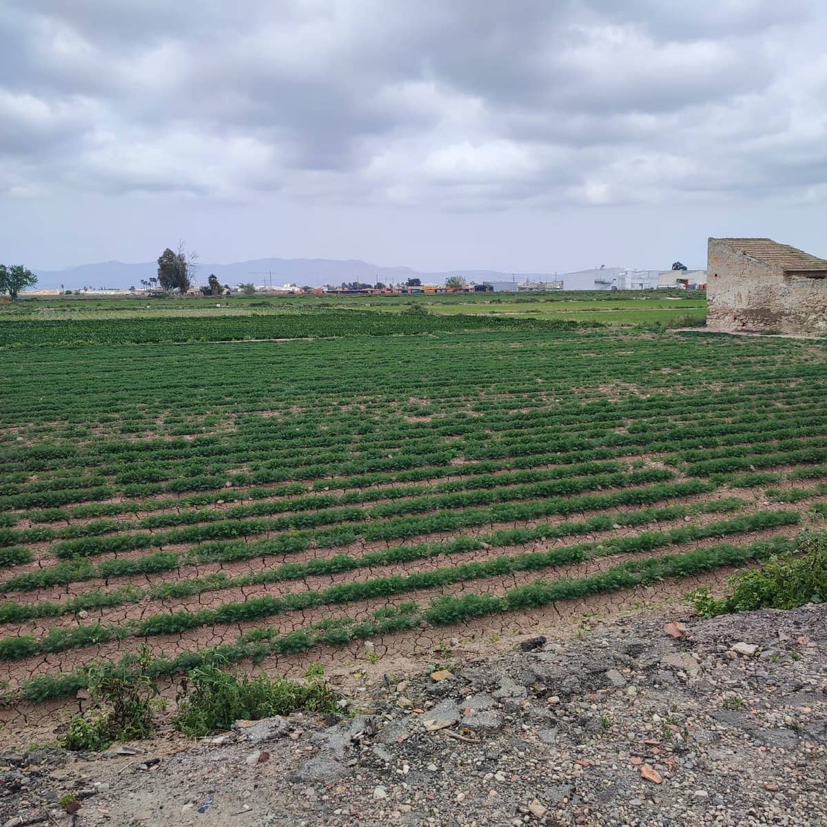Ruin for sale in Dolores - € 120,000 (Ref: 9948501)