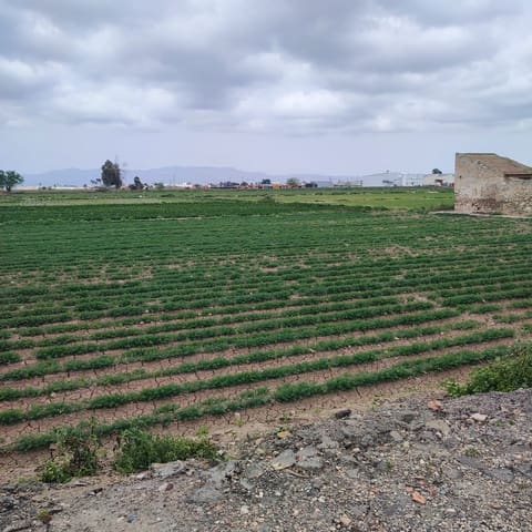 Ruin til salg i Dolores - € 120.000 (Ref: 9948501)