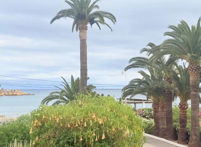 Apartamento de 2 habitaciones en Altea en venta - 289.000 € (Ref: 10004468)