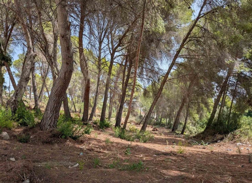 Tontti myytävänä paikassa Moraira - 910 000 € (Ref: 10060887)