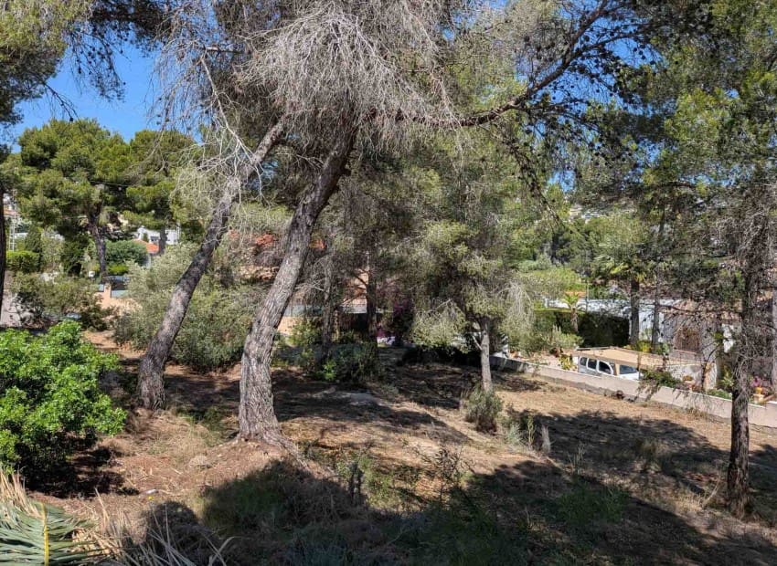 Tontti myytävänä paikassa Moraira - 910 000 € (Ref: 10060887)