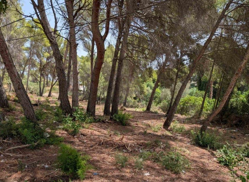 Tontti myytävänä paikassa Moraira - 910 000 € (Ref: 10060887)