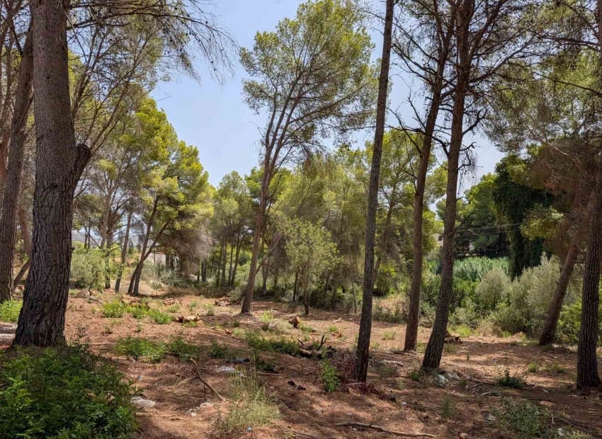 Tontti myytävänä paikassa Moraira - 910 000 € (Ref: 10060887)
