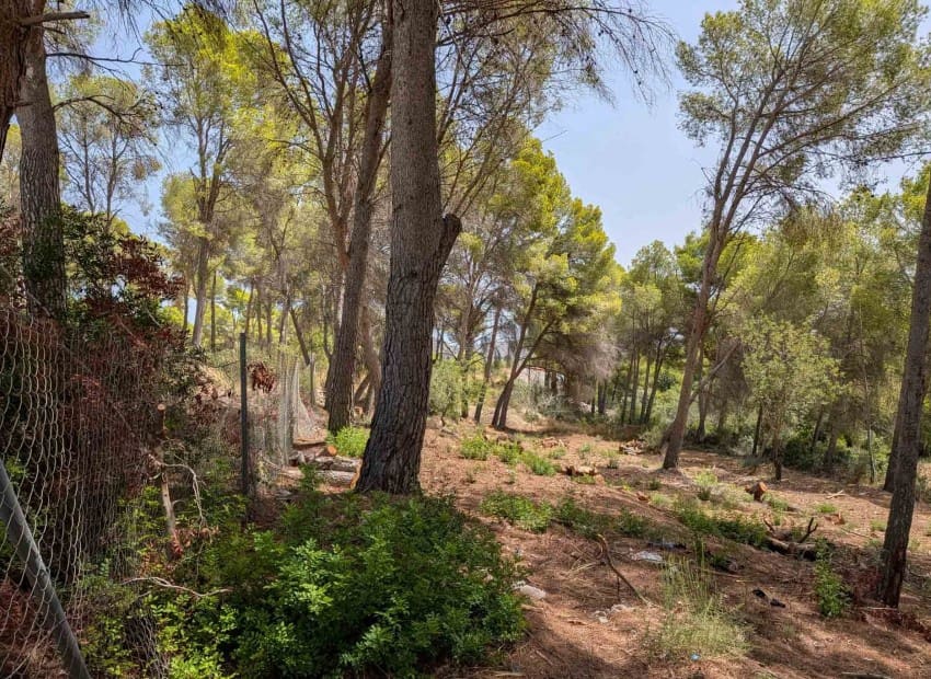 Tontti myytävänä paikassa Moraira - 910 000 € (Ref: 10060887)