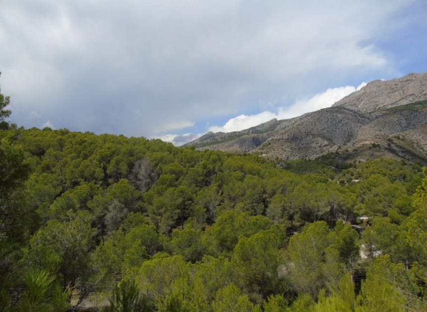 Building Plot for sale in Altea - € 99,000 (Ref: 5923820)