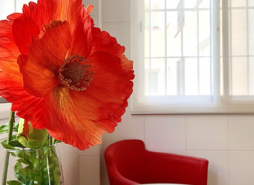 2 slaapkamer Appartement voor vakantieverhuur in Altea met zwembad - € 550 (Ref: 6305662)