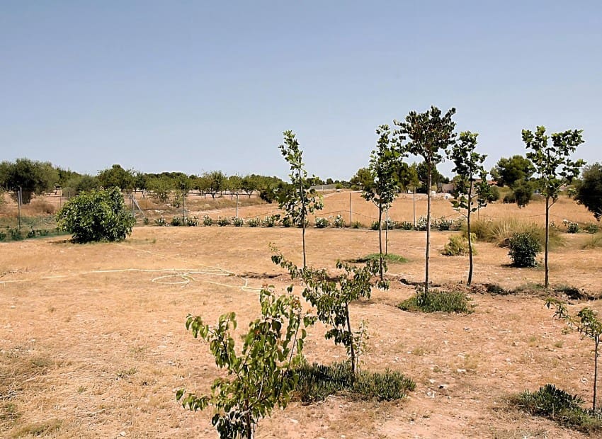 4 soveværelse Villa til salg i Onil med swimmingpool - € 485.000 (Ref: 7037647)