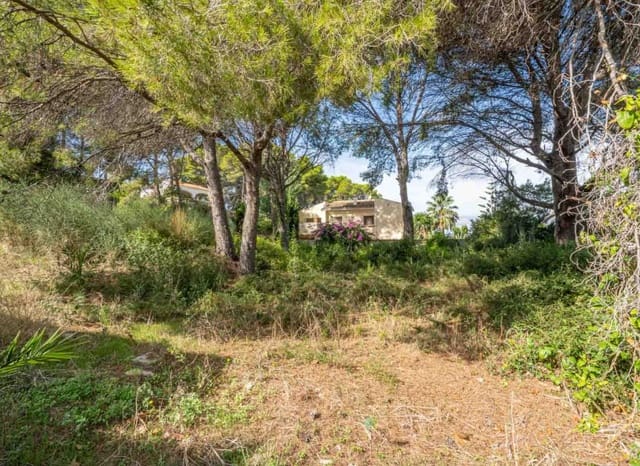 Terreno Não Urbanizado para venda em Adsubia, Javea / Xàbia - 320 000 € (Ref: 8825617)