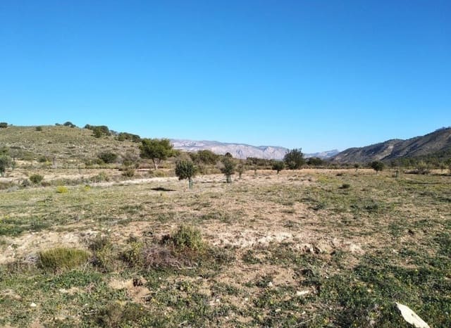 Bouwgrond te koop in Relleu - € 228.000 (Ref: 8825706)