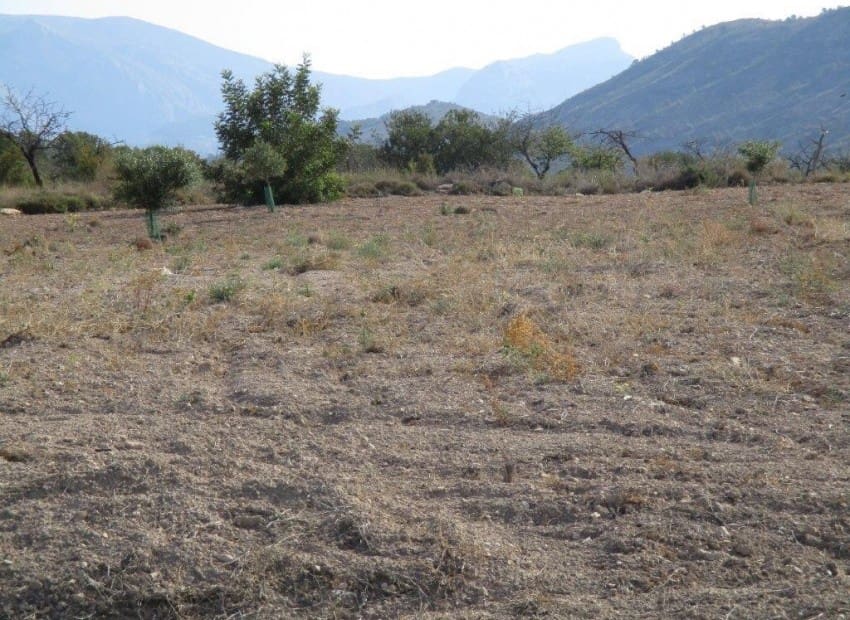 Tontti myytävänä paikassa Relleu - 228 000 € (Ref: 8825706)