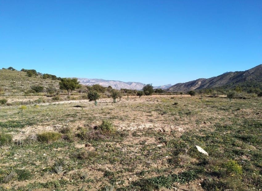 Tontti myytävänä paikassa Relleu - 228 000 € (Ref: 8825706)