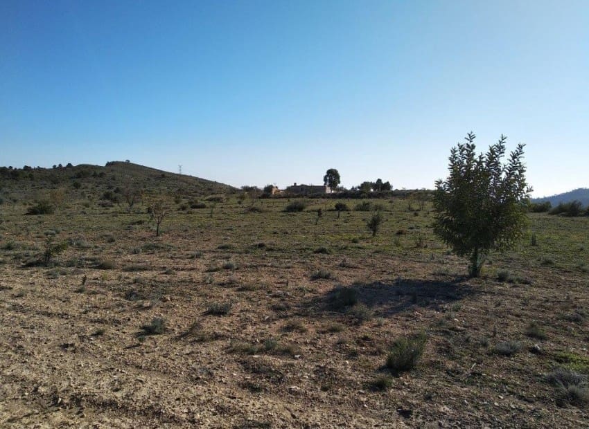 Tontti myytävänä paikassa Relleu - 228 000 € (Ref: 8825706)