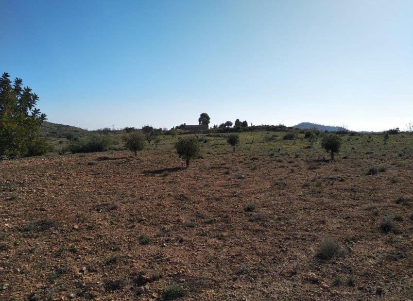 Tontti myytävänä paikassa Relleu - 228 000 € (Ref: 8825706)