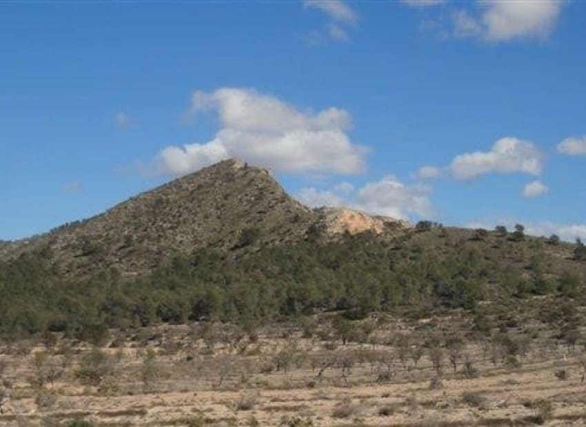 Tontti myytävänä paikassa Relleu - 228 000 € (Ref: 8825706)