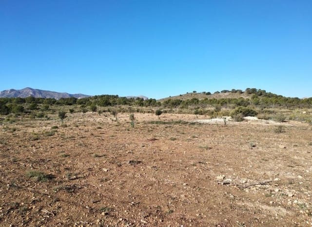 Bouwgrond te koop in Relleu - € 228.000 (Ref: 8825706)