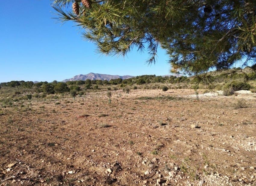 Tontti myytävänä paikassa Relleu - 228 000 € (Ref: 8825706)