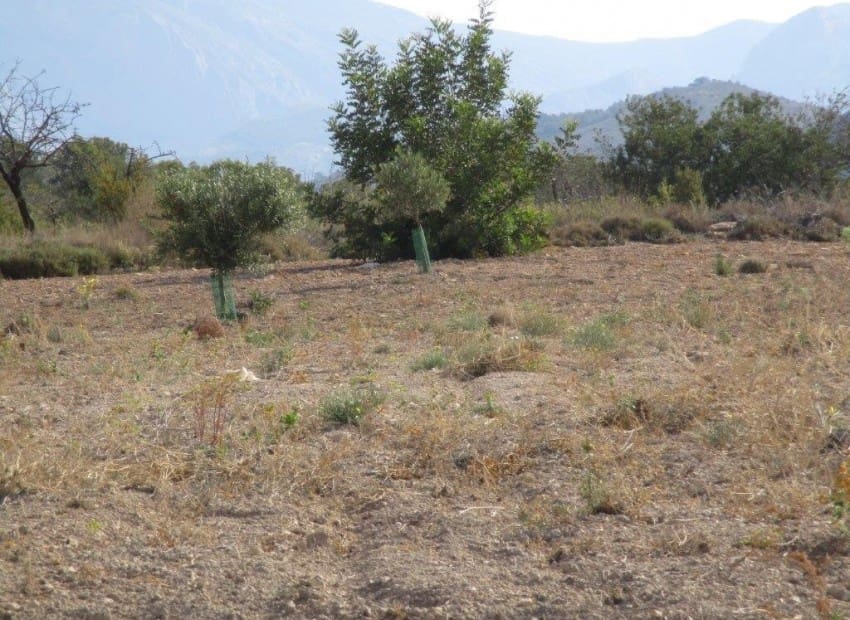 Tontti myytävänä paikassa Relleu - 228 000 € (Ref: 8825706)