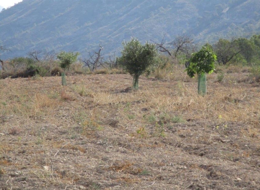 Tontti myytävänä paikassa Relleu - 228 000 € (Ref: 8825706)