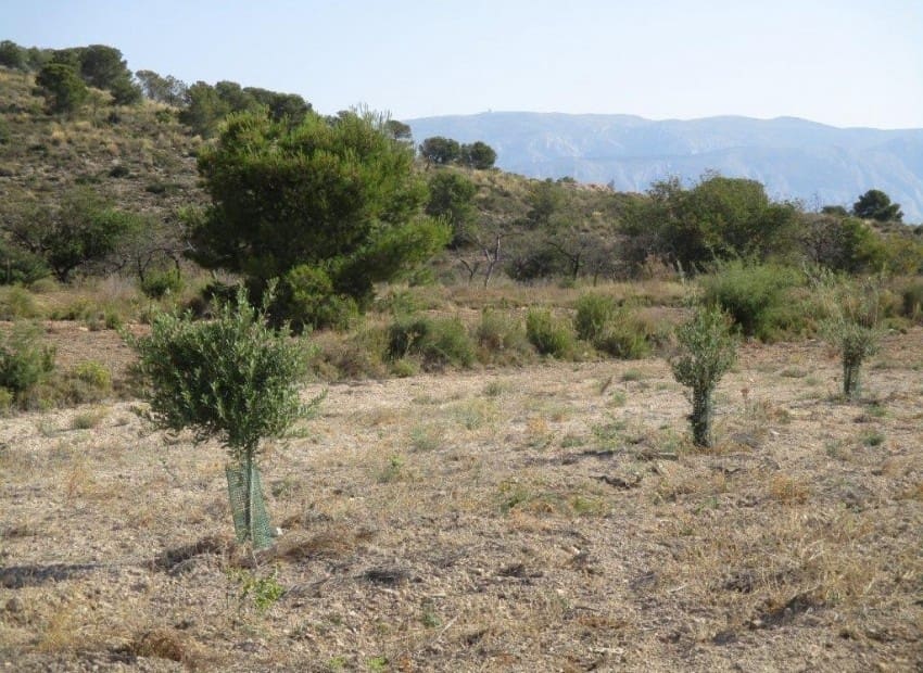 Tontti myytävänä paikassa Relleu - 228 000 € (Ref: 8825706)