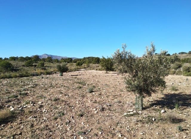 Bouwgrond te koop in Relleu - € 228.000 (Ref: 8825706)