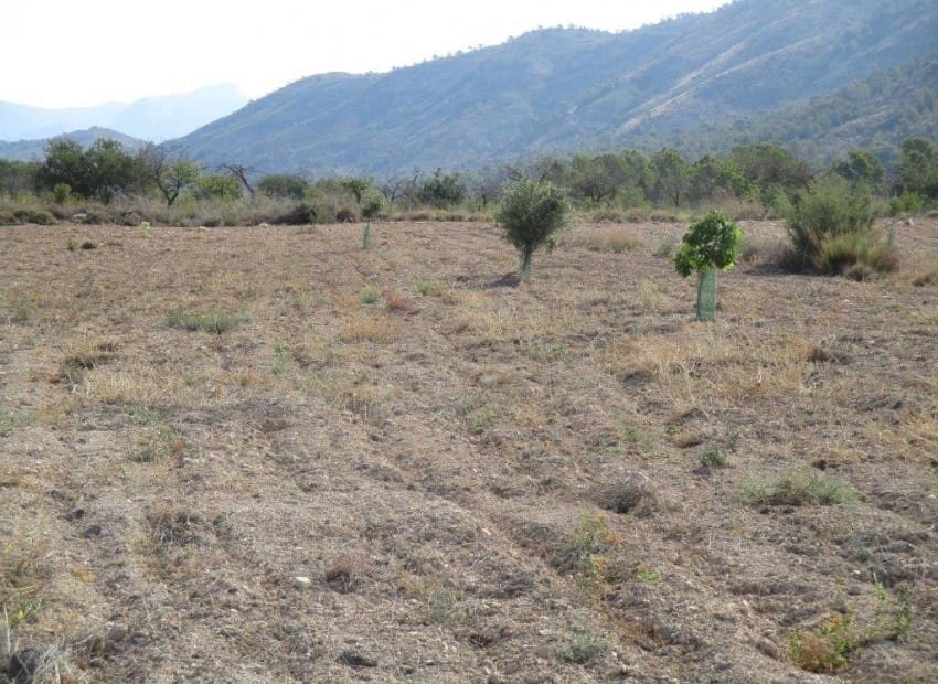 Tontti myytävänä paikassa Relleu - 228 000 € (Ref: 8825706)