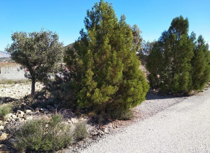 Tontti myytävänä paikassa Relleu - 228 000 € (Ref: 8825706)