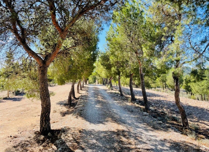 9 soveværelse Finca/Landehus til salg i Jijona / Xixona med swimmingpool garage - € 550.000 (Ref: 8825713)